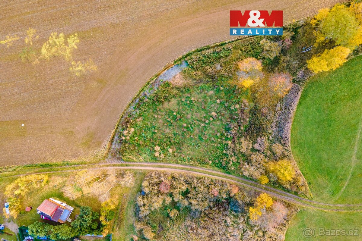 Prodej louky, 672 m², Vysoká Libyně