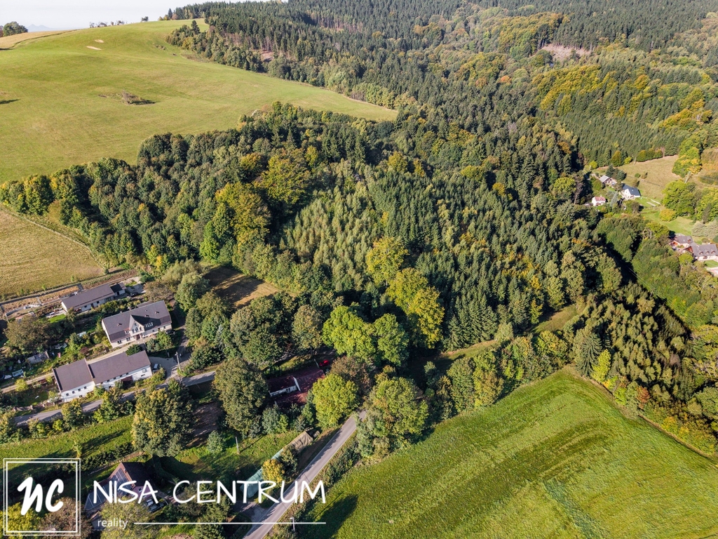 Prodej lesa 30 343 m² v Šimonovicích