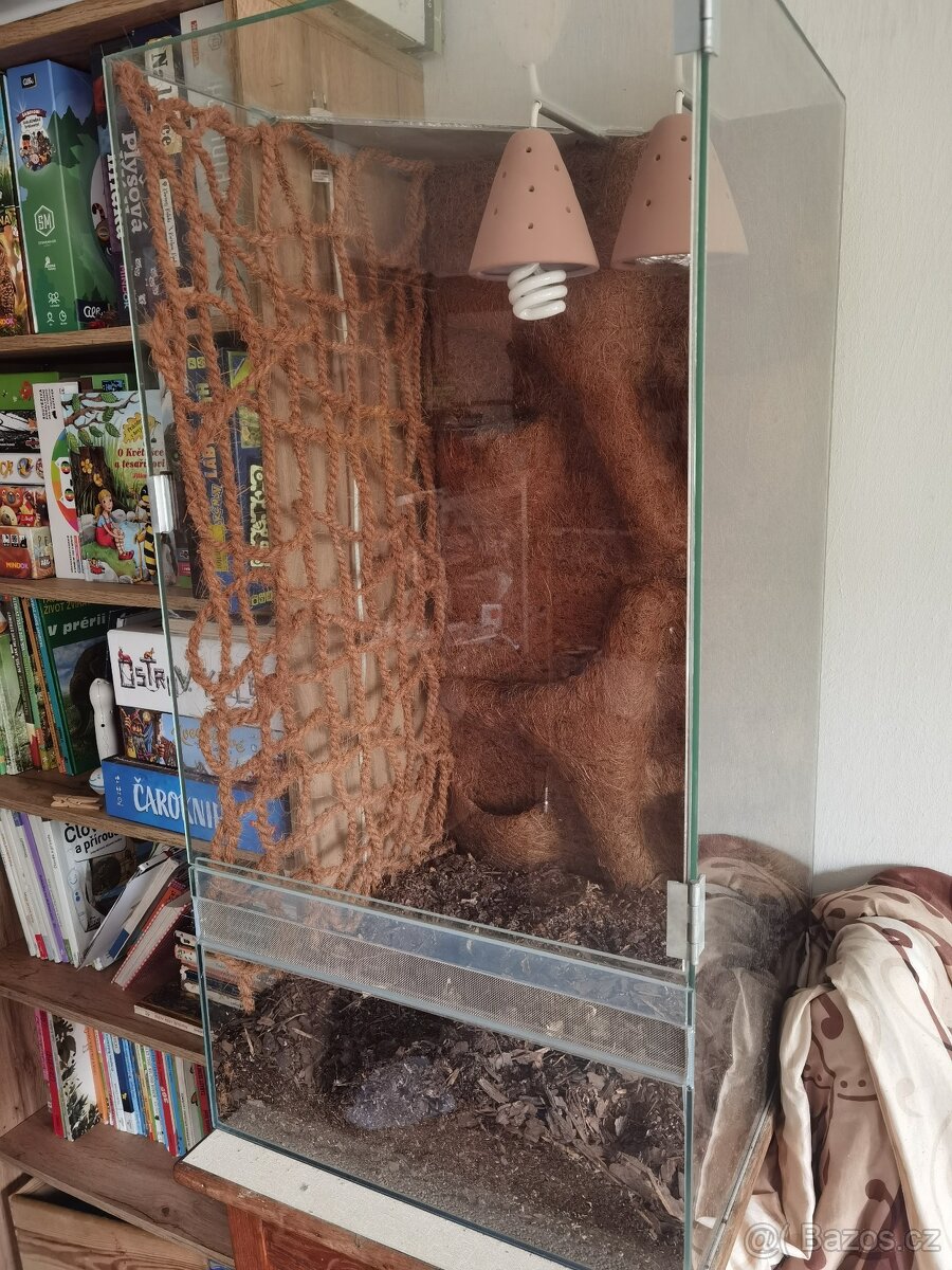 Terárium pro chameleona