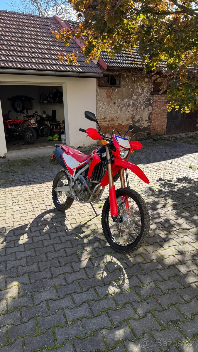 Honda CRF300l 2023