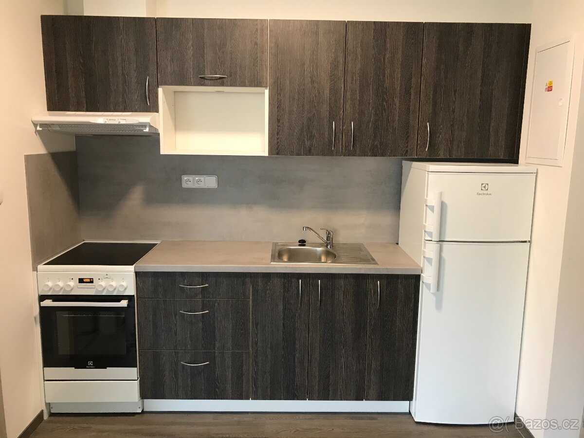 Byt k pronájmu 1+kk (32,9 m2)
