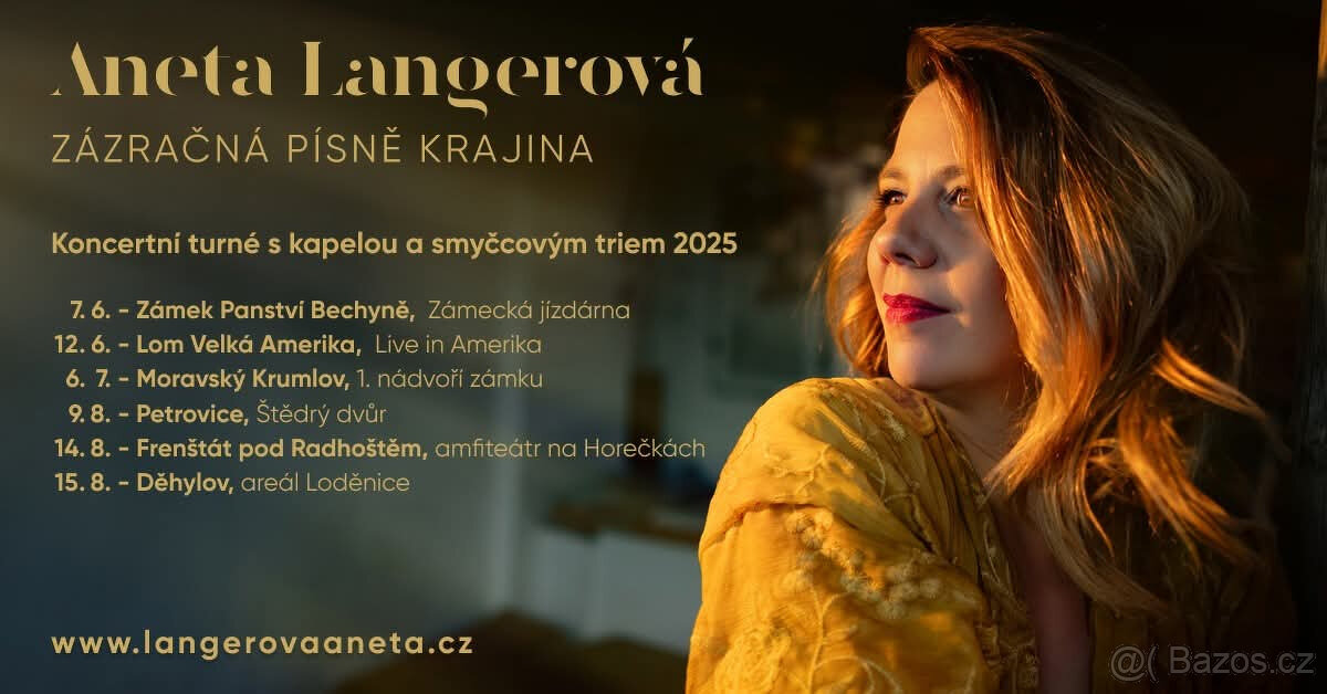 vstupenky na koncert