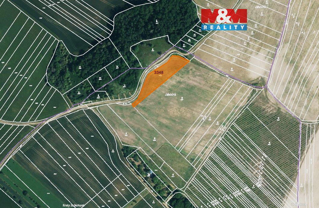 Prodej vinice, 1000 m², Ježov