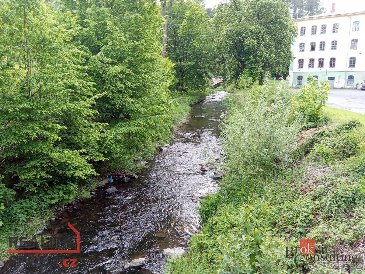 Prodej, pozemky/bydlení, 22894 m2, 40502 Janská, Děčín [ID 6