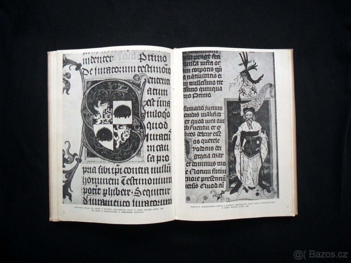 Umělecké památky Jihlavy ( rozfoceno 20 snímků )