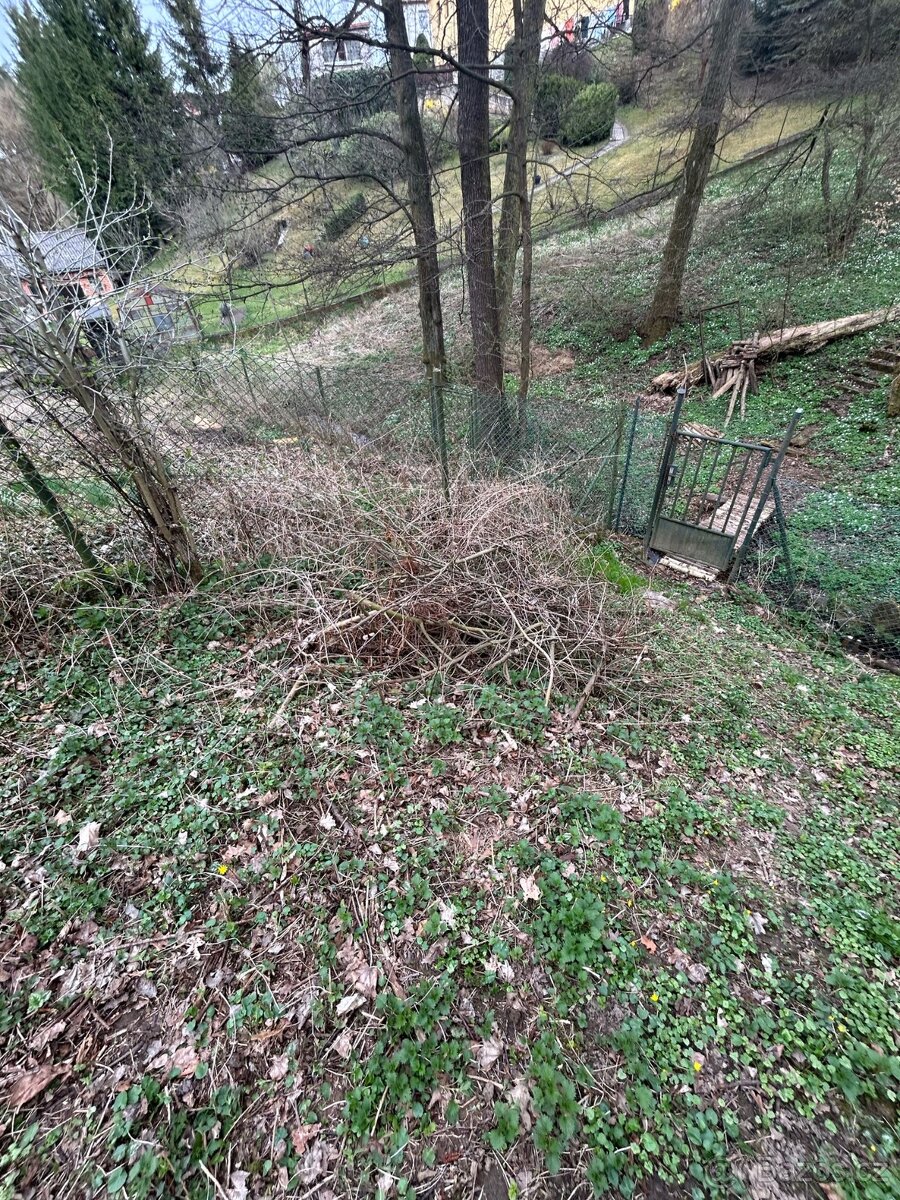 Zdarma daruji větve na podpal/ seštěpkování Senohraby