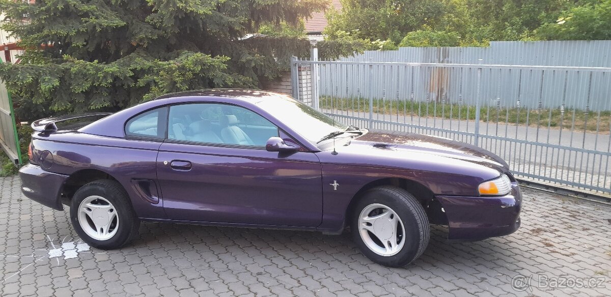 Mustang