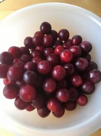 MIRABELKY BIO