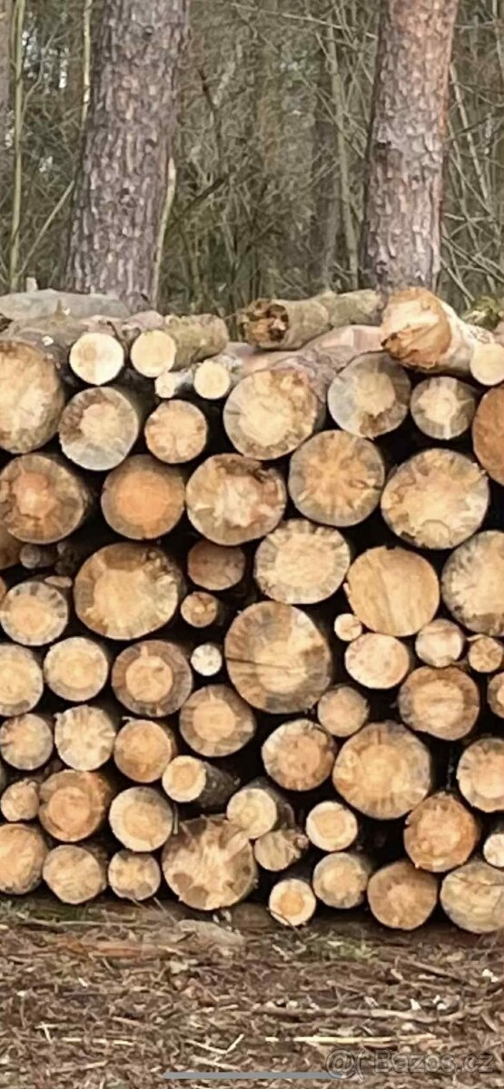 Palivové dřevo na prodej
