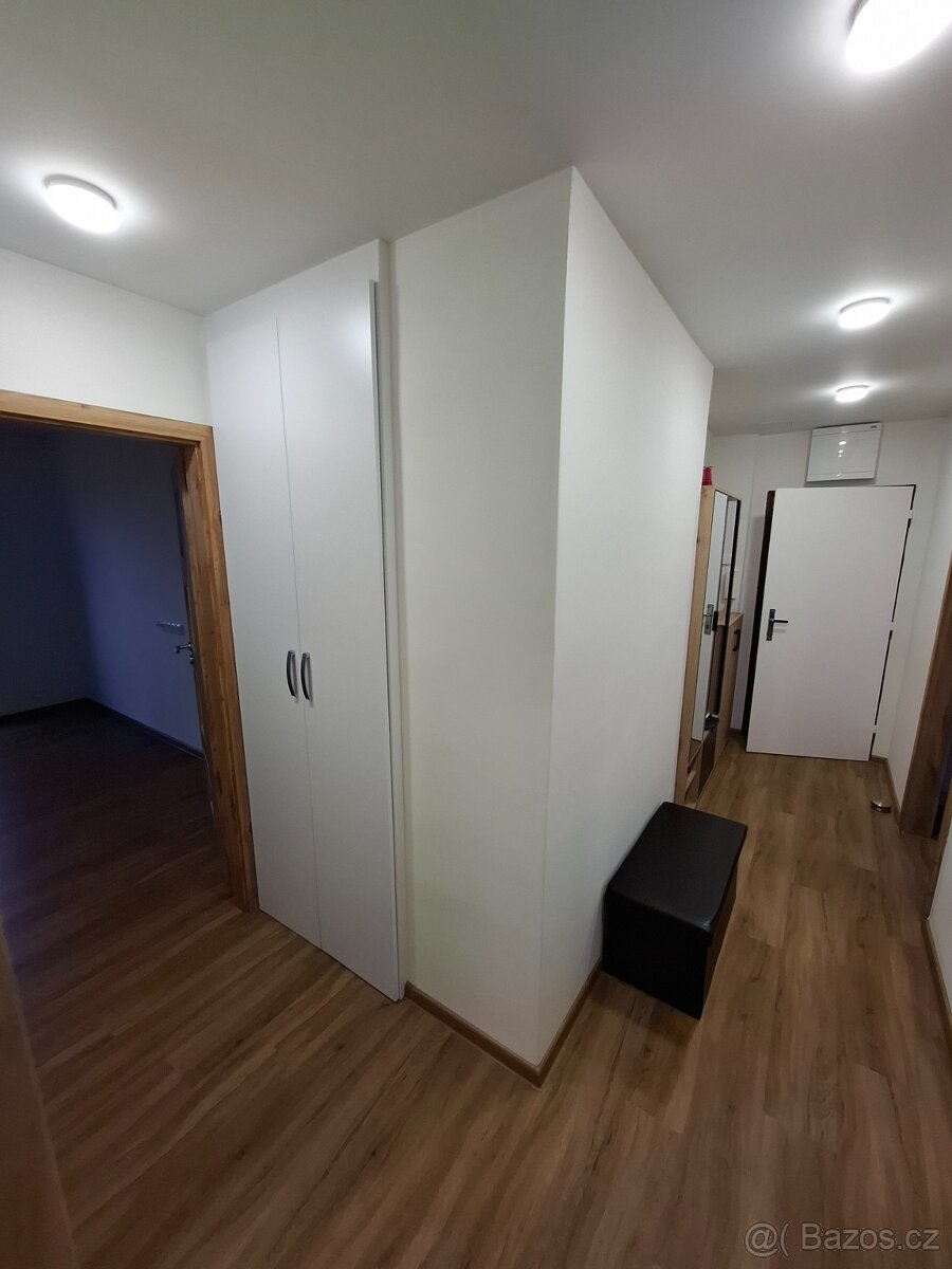 Pronajem bytu 2 + 1