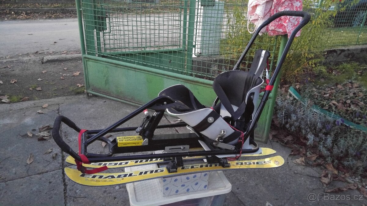 Lyže Bi-ski
