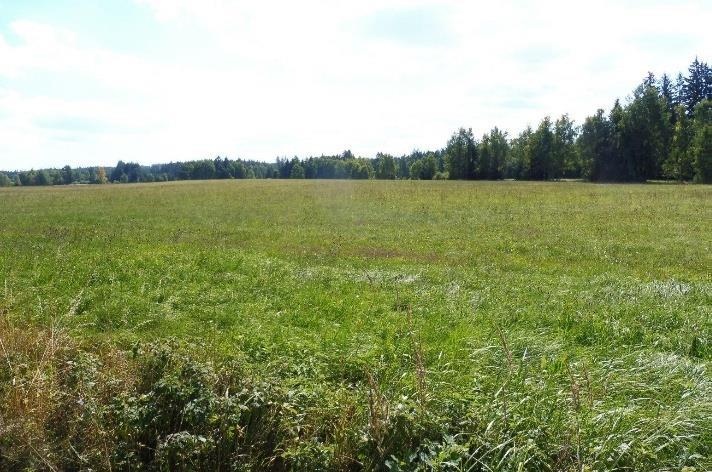 Podíly na pozemcích Hutě pod Třemšínem