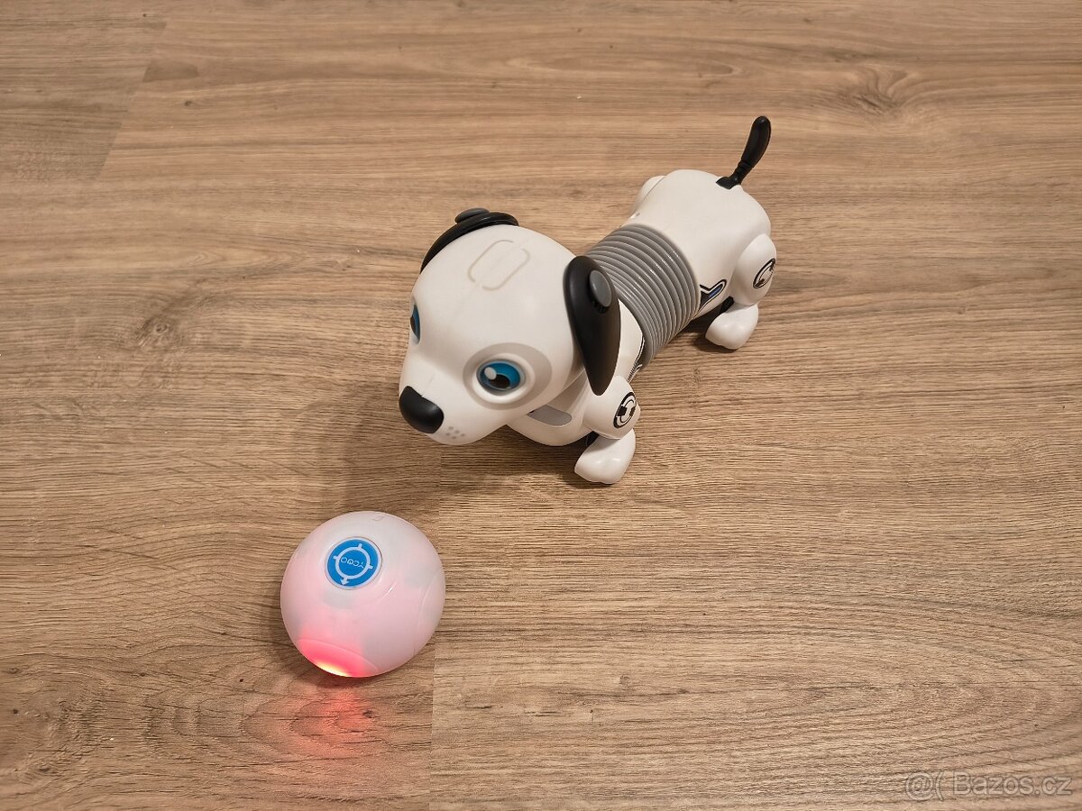 Robotický pes