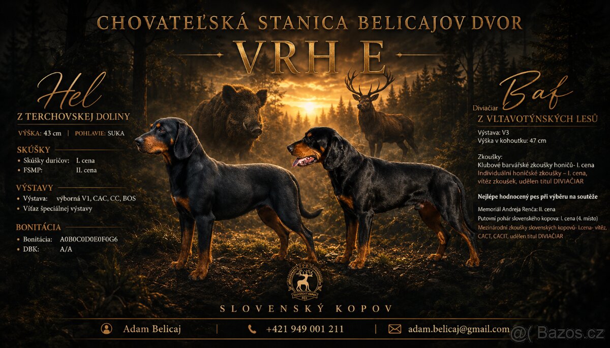 Slovenský kopov