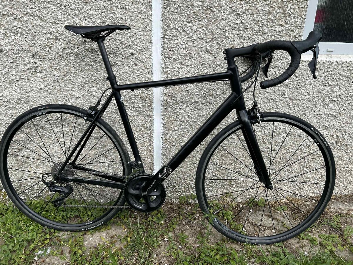 Canyon Endurance AL