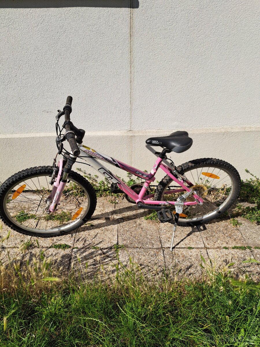 Divči kolo 24