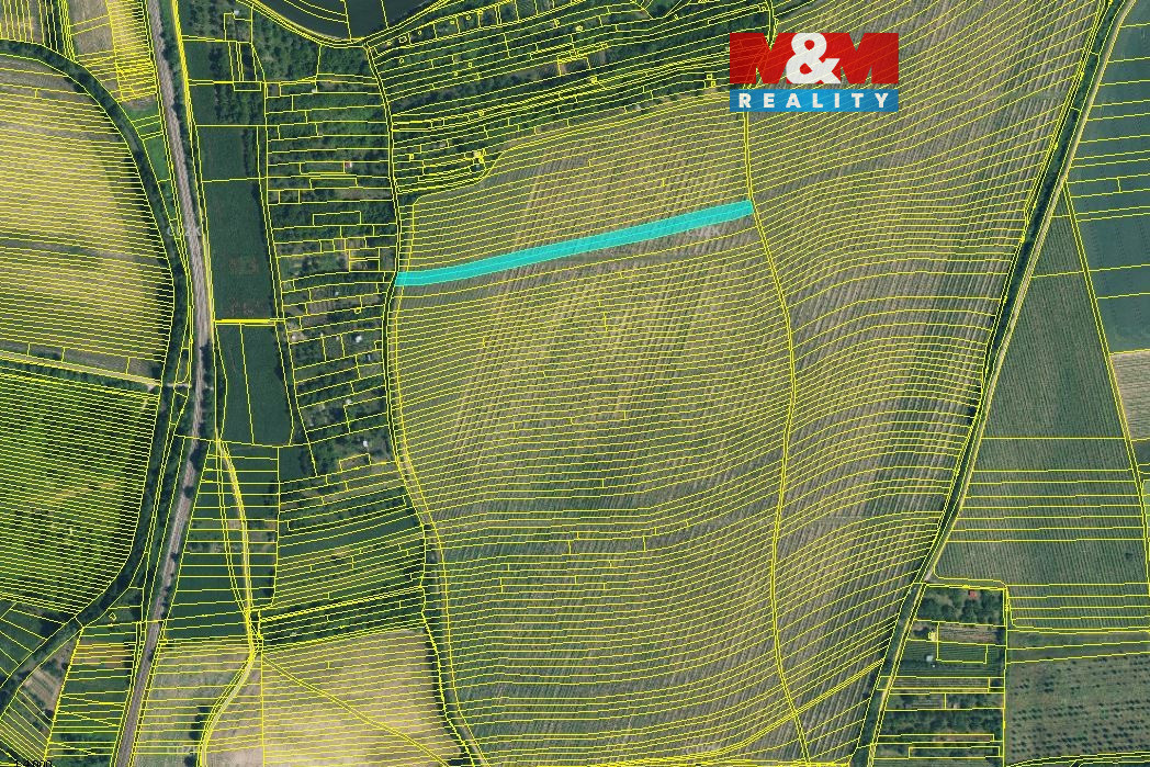 Prodej vinice, 1585 m², Bohuslavice u Kyjova