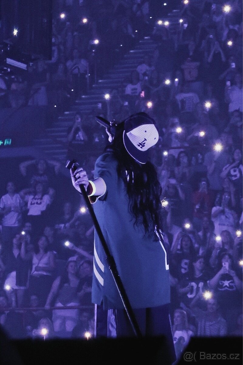 NUTNĚ HLEDÁM LÍSTKY NA BILLIE EILISH