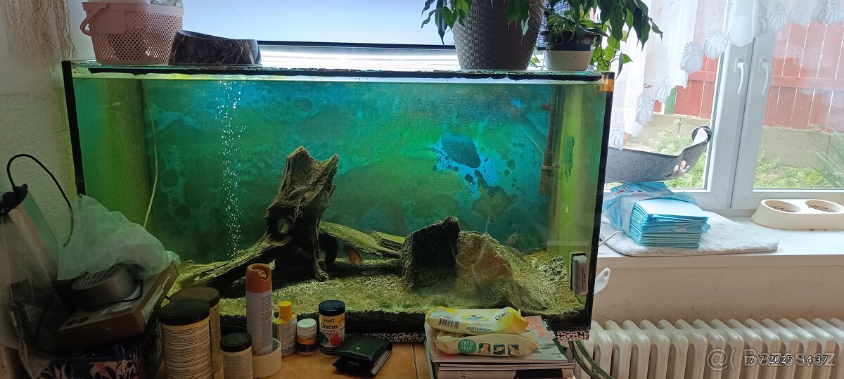 Daruji za odvoz Akvario