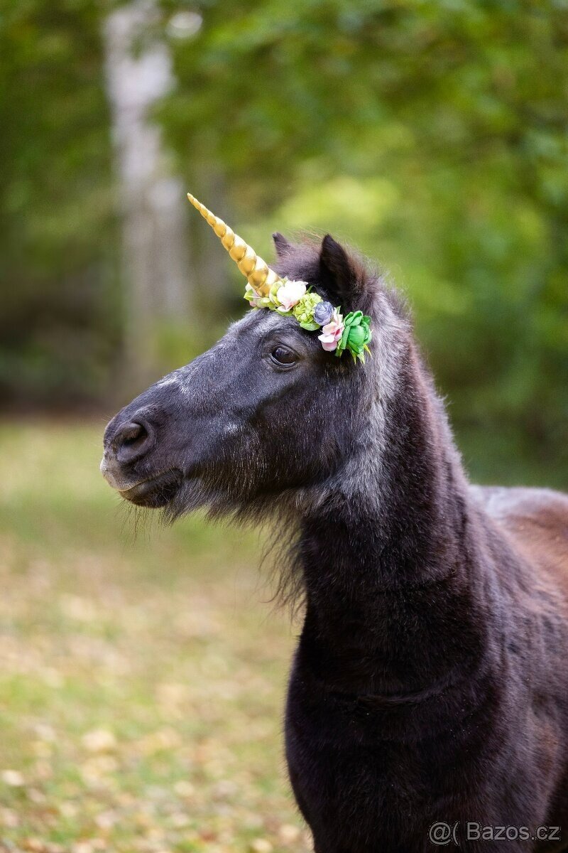 Jednorožčí čelenky na koně