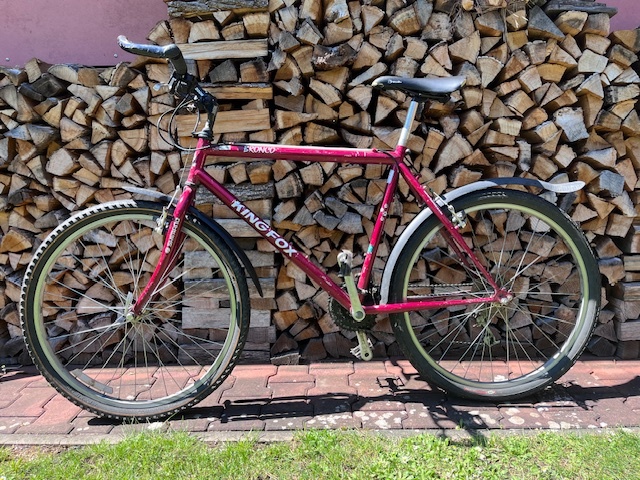 Horské kolo King Fox Bronco
