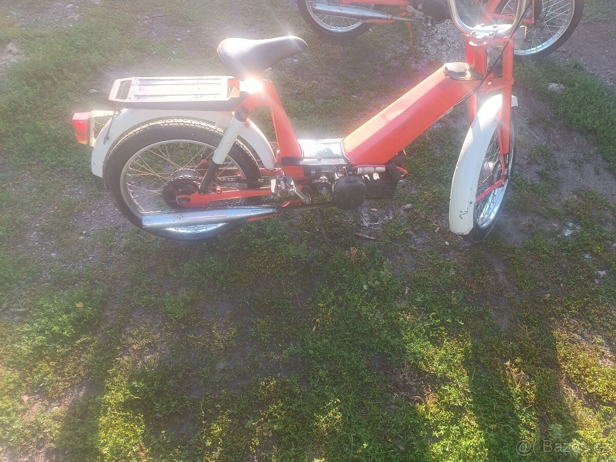 Babeta 207