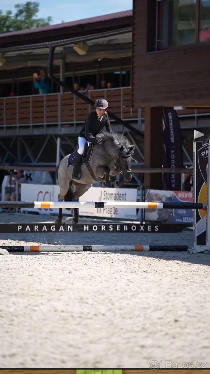 Šikovná pony klisna kat. A na prodej