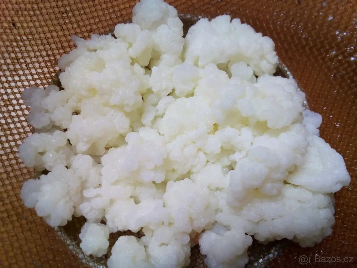 nabizim