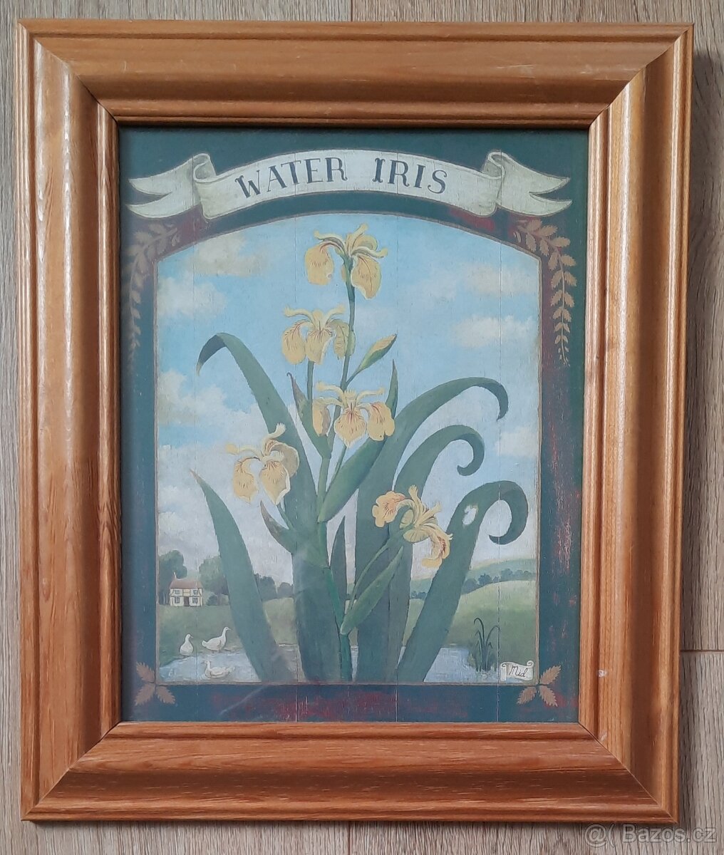 Obraz v rámu - žlutý kosatec