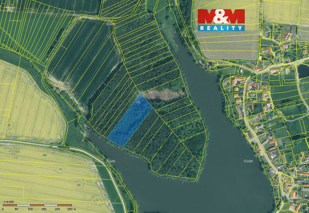 Prodej lesa, 13225 m², Borovany