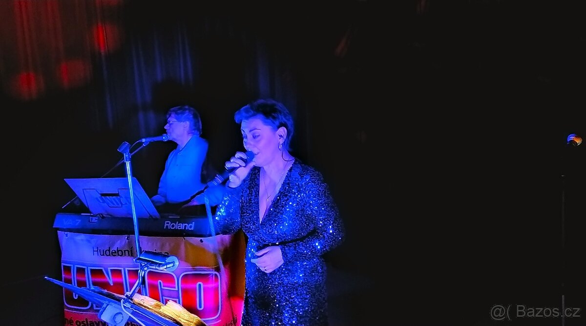 Živá hudba, plesy, svatby