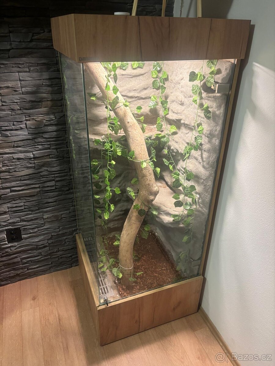 Terarium 60x60x150