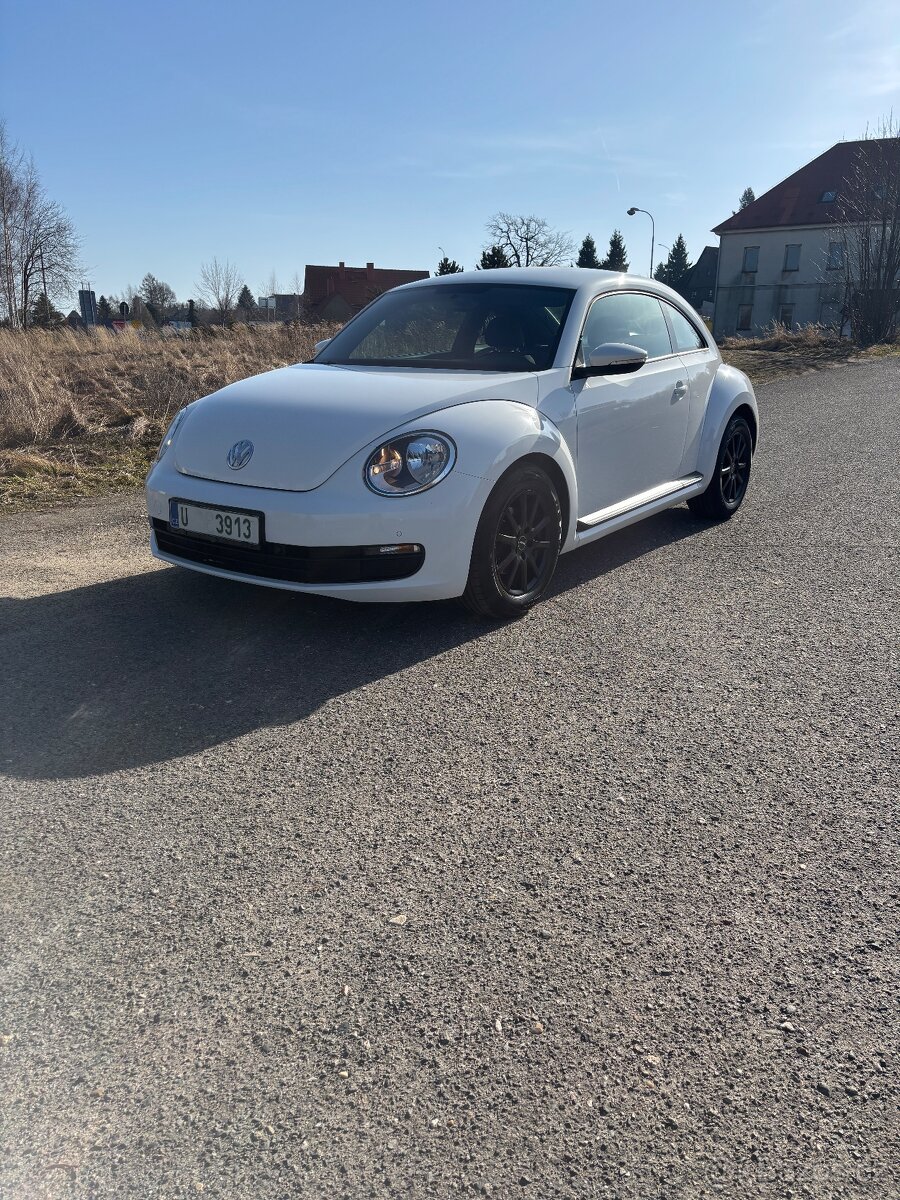 Vw beetle