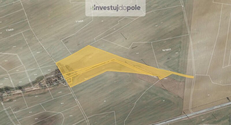 Prodej pole v k.ú. Hracholusky nad Berounkou