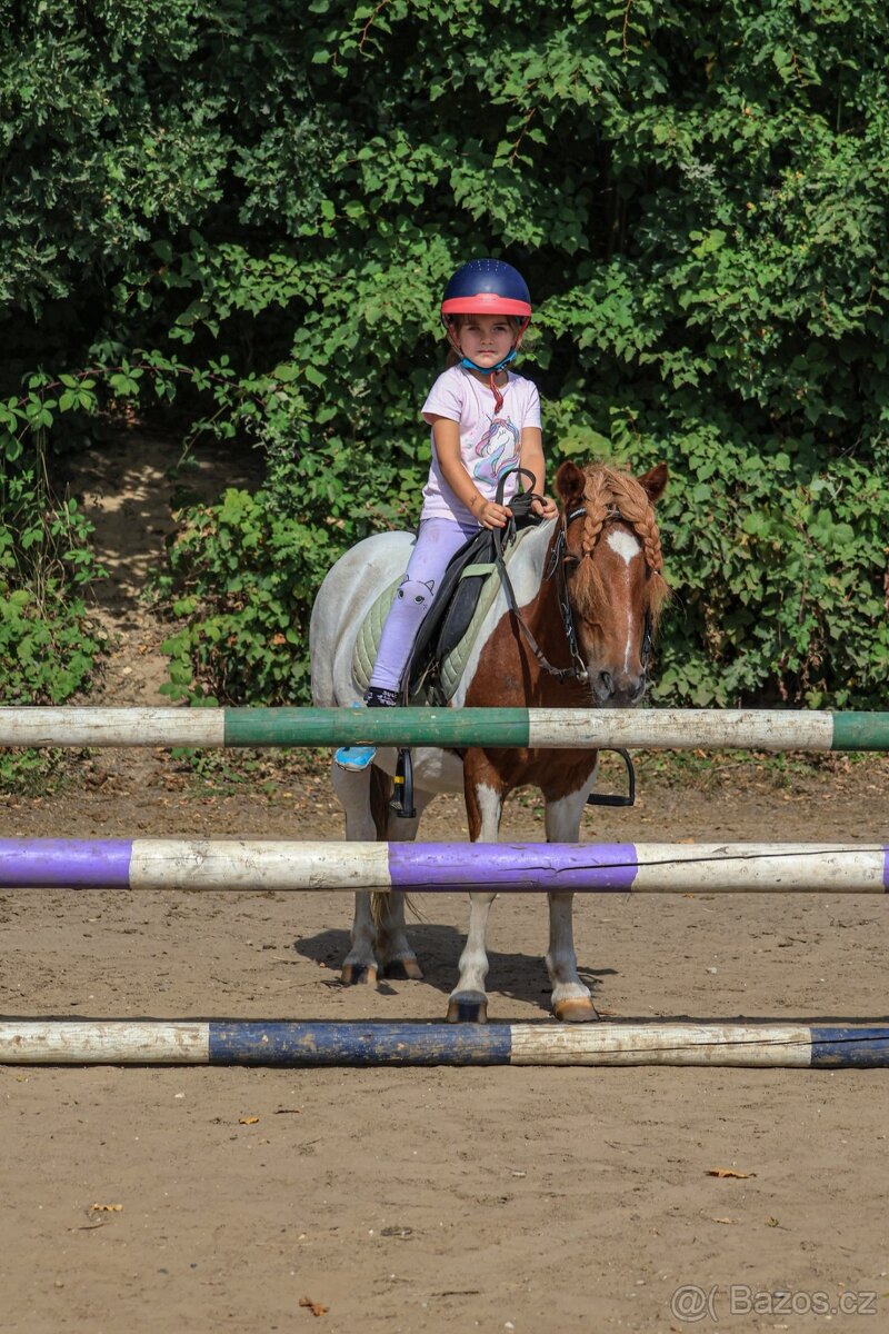 Pony kobylka