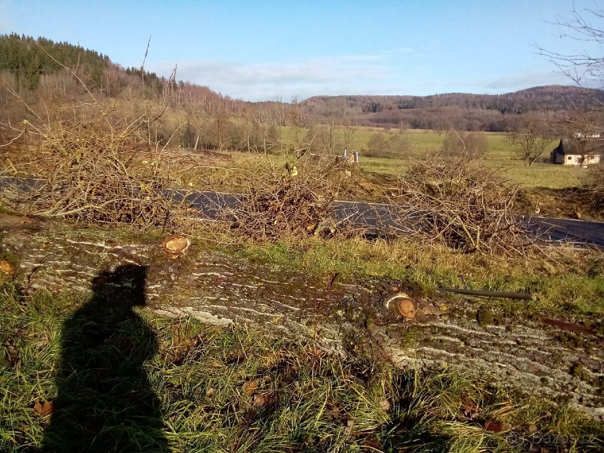 Klest topol za odvoz