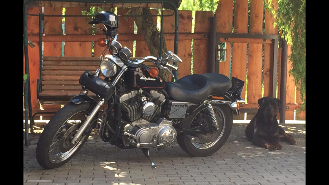 Harley Davidson 1200 od 18 let