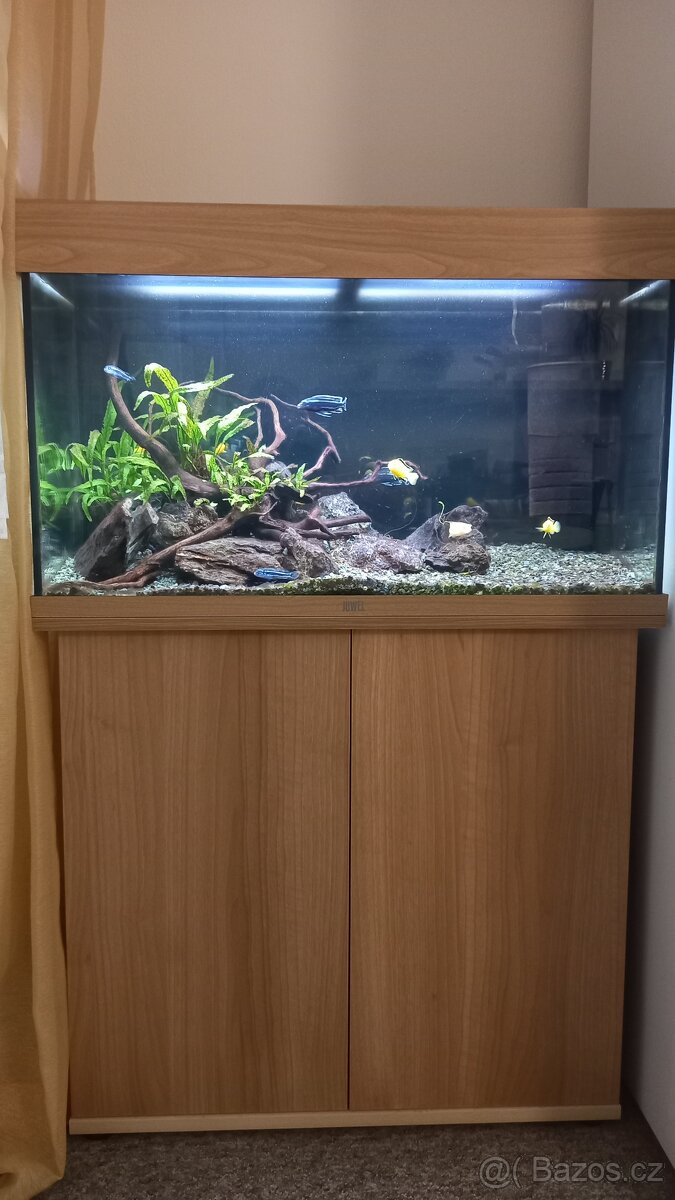 Akvárium Juwel Rio 125 l v rezervaci do 11.10.