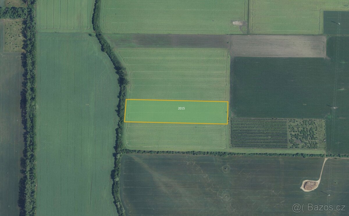 Zemědělská půda, prodej, Bavory, Břeclav