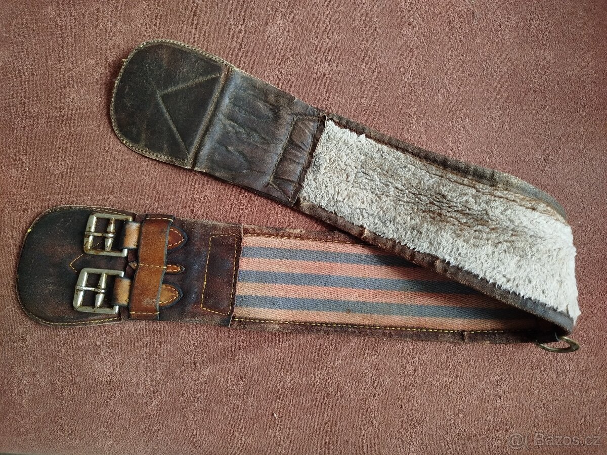 Podbřišník australský