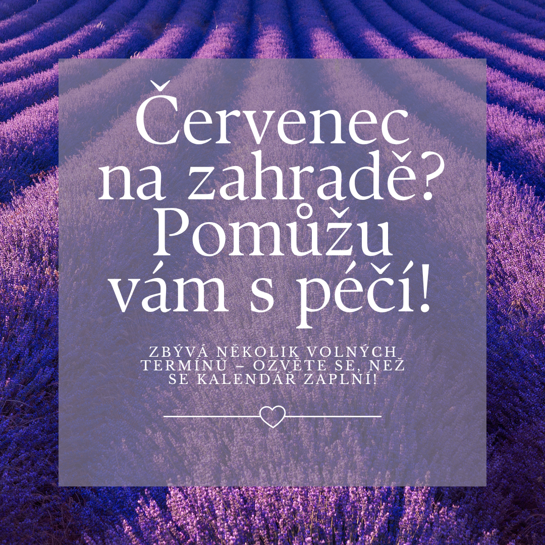 Zahradní práce a kácení