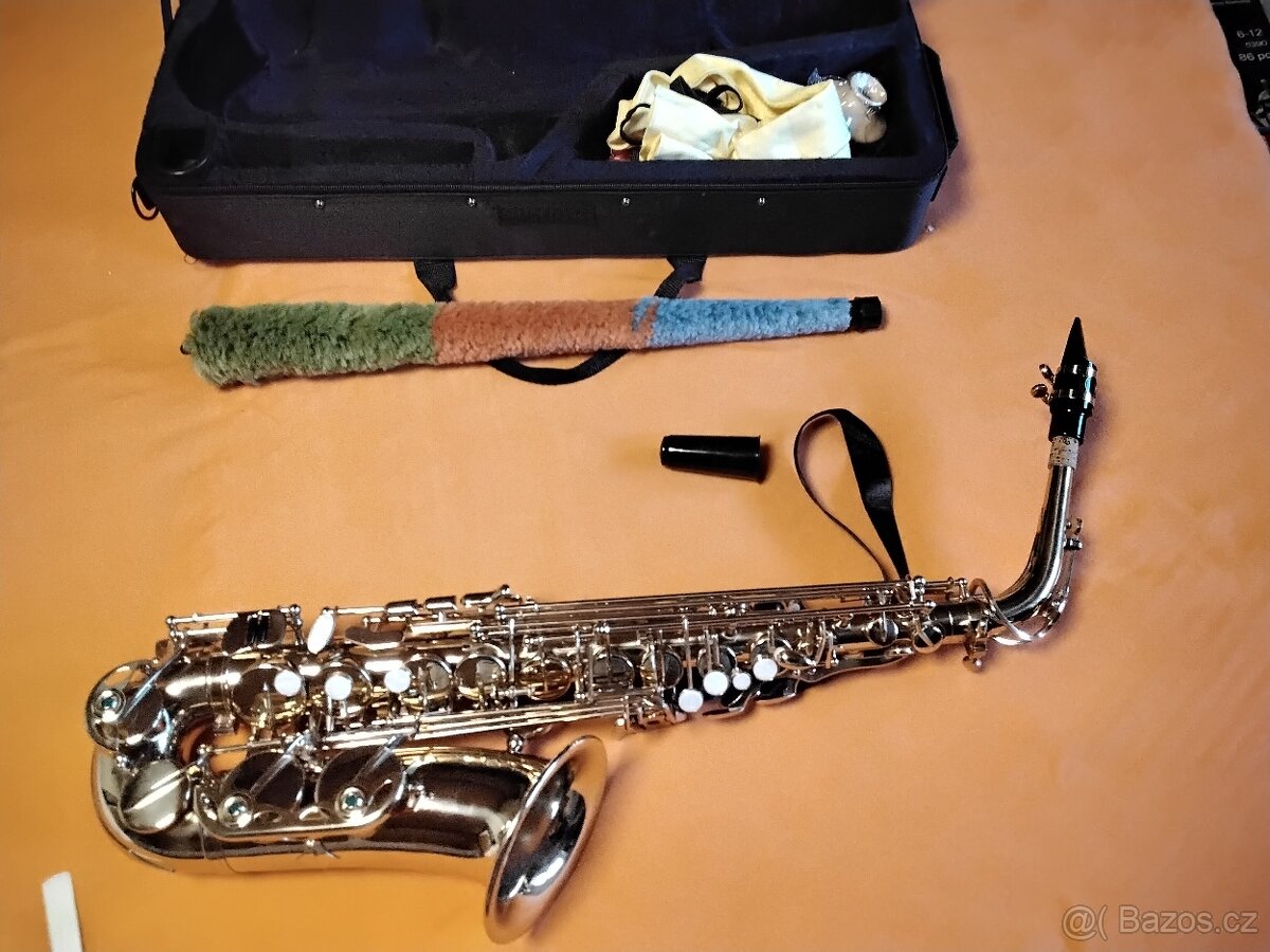 Alt Saxofon pro začátečníky