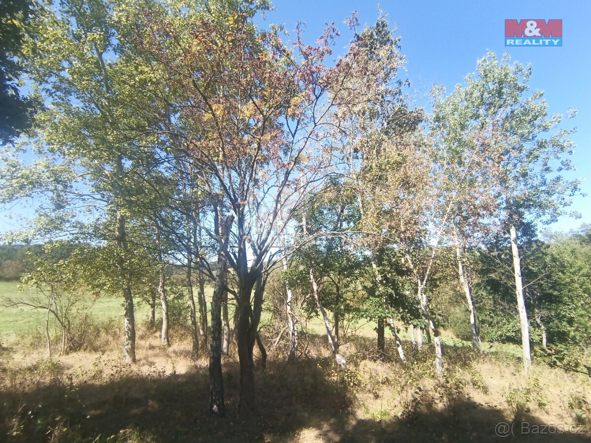 Prodej ostatní, 3069 m², Blatno
