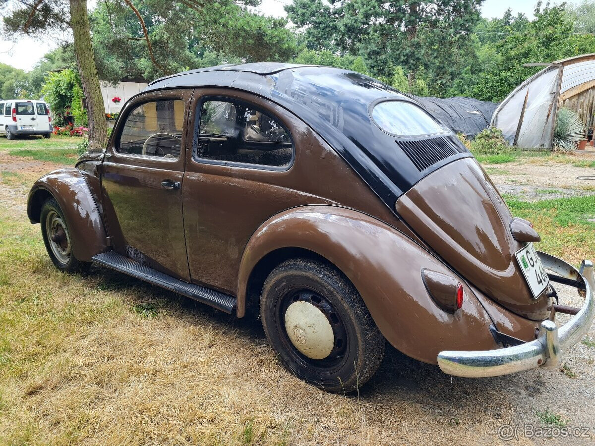 Brouk 1954 oval nos světlo spz