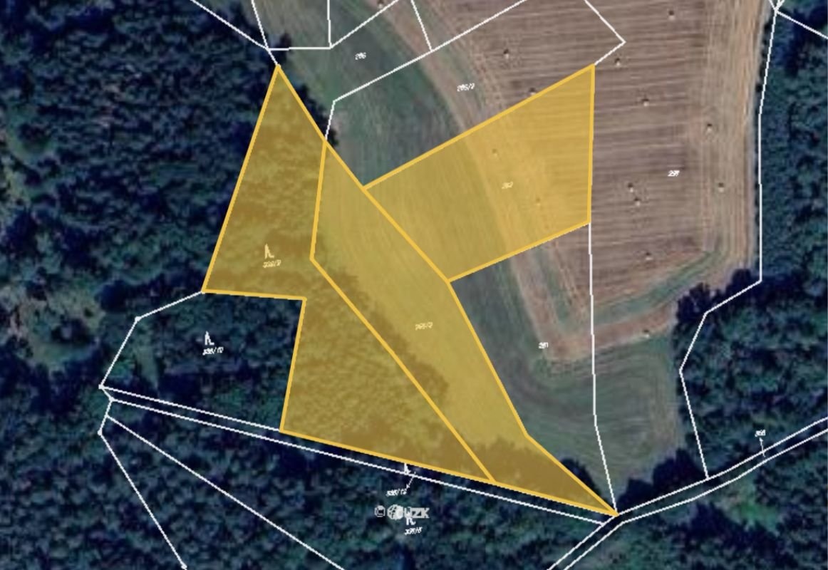 Prodej podílu 3/8 lesa 7 381 m², Hrazany