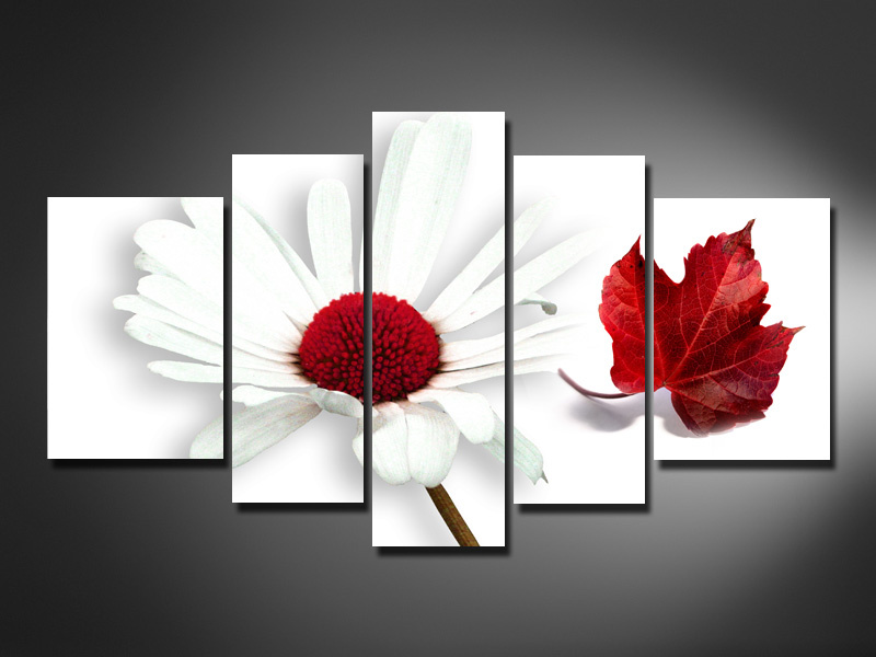 Obraz červený květ