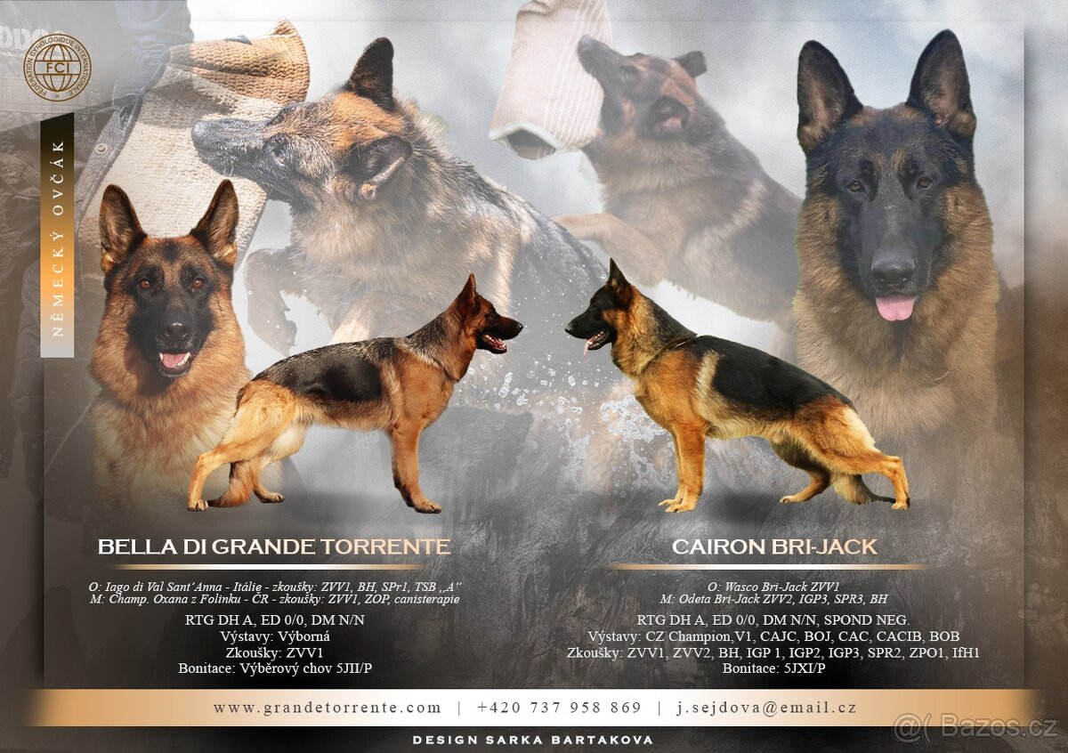 NĚMECKÝ OVČÁK S PP