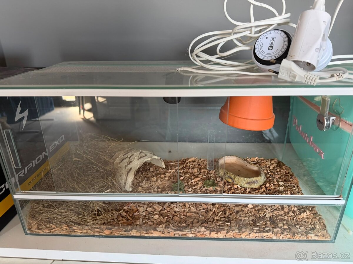 Terarium 60x30x30
