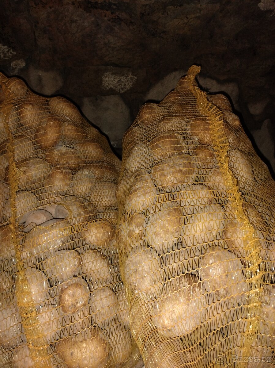 Krmné brambory