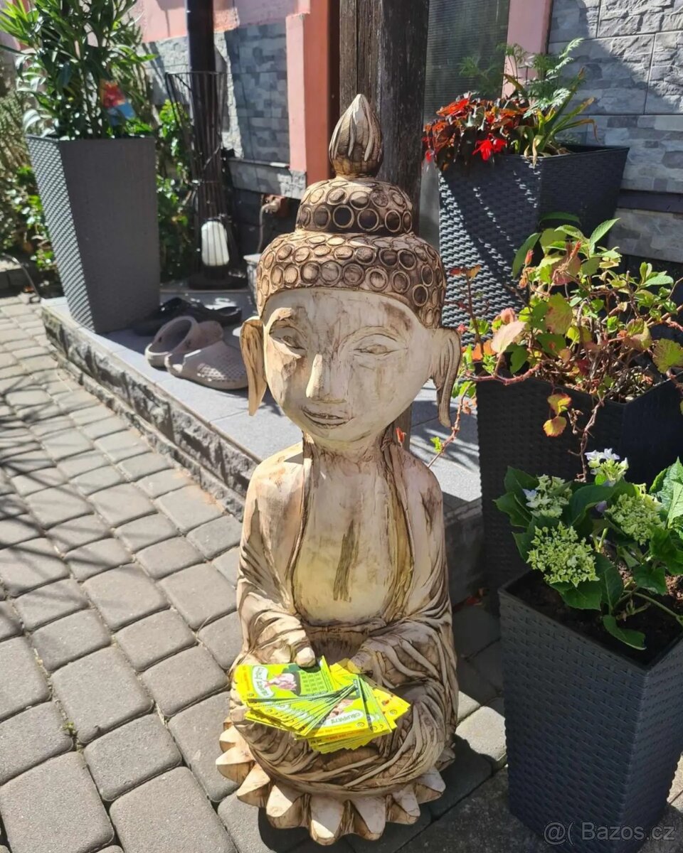 Buddha motorovou pilou